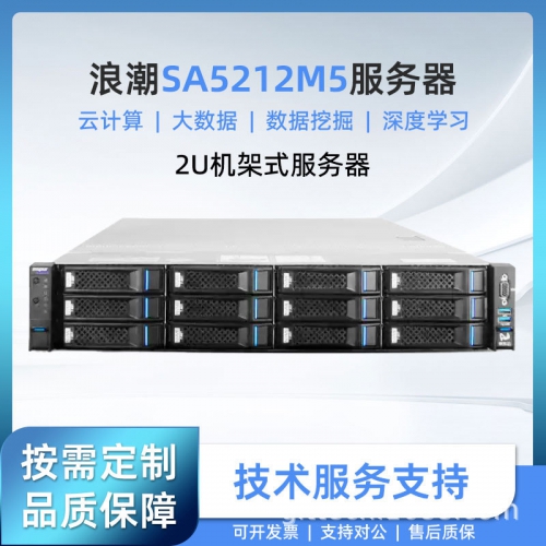 浪潮inspur英信服务器SA5212M5机架式2U存储式主机国产信创准系统